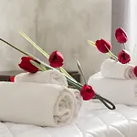 Napoleone Holiday Apartment